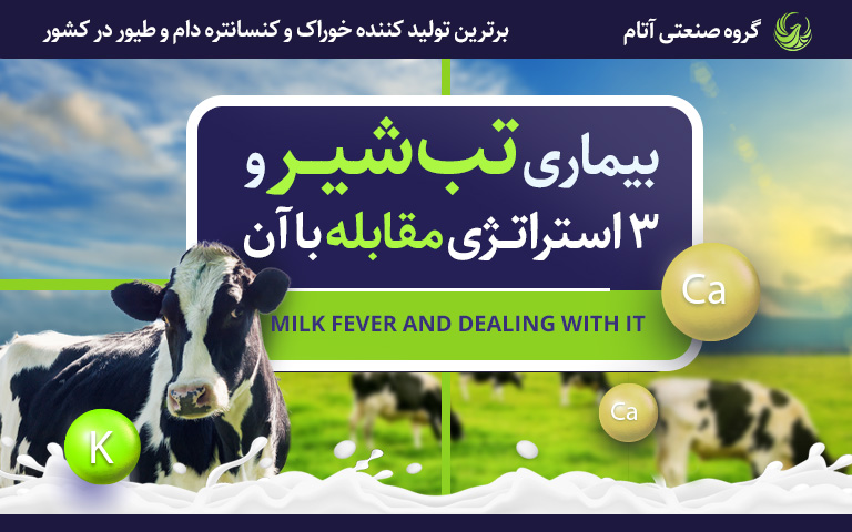 تب شیر در گاو و راه‌های مقابله با آن